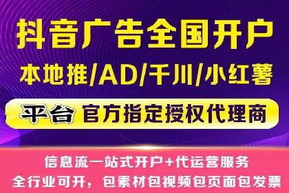 SEM托管公司案例分析：数据驱动决策